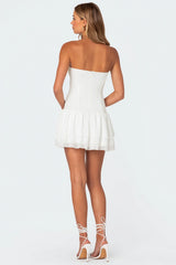 Mesh & Chiffon Corset Mini Dress