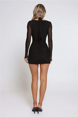 Dusky Floral Long Sleeve Mesh Mini Dress Black